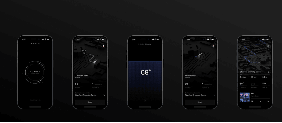 Tesla Robotaxi App